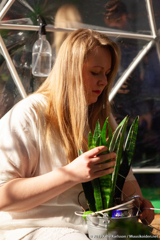 Fern Orchestra Fern Orchestra